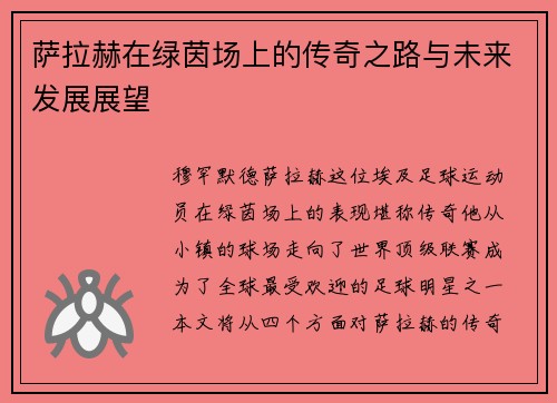 萨拉赫在绿茵场上的传奇之路与未来发展展望