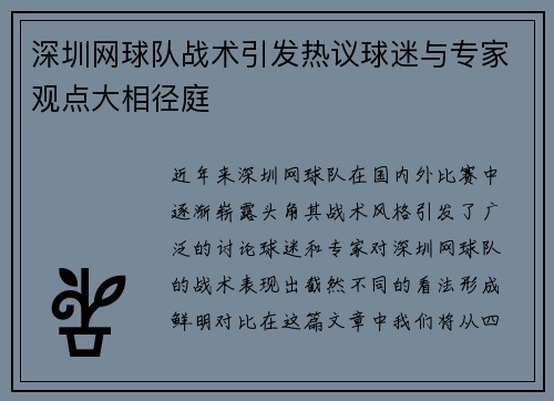 深圳网球队战术引发热议球迷与专家观点大相径庭